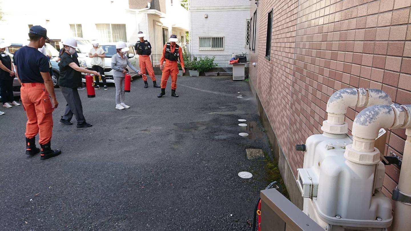 サンプル画像