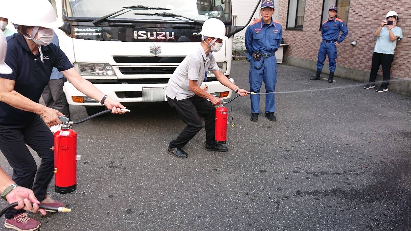 サンプル画像